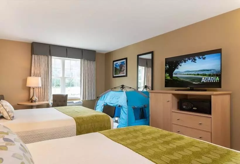 デラックスルーム, Acadia Inn