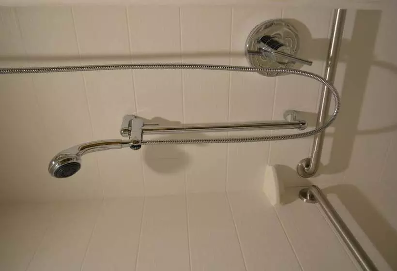 スイート, Comfort Suites Bossier City  Shreveport East
