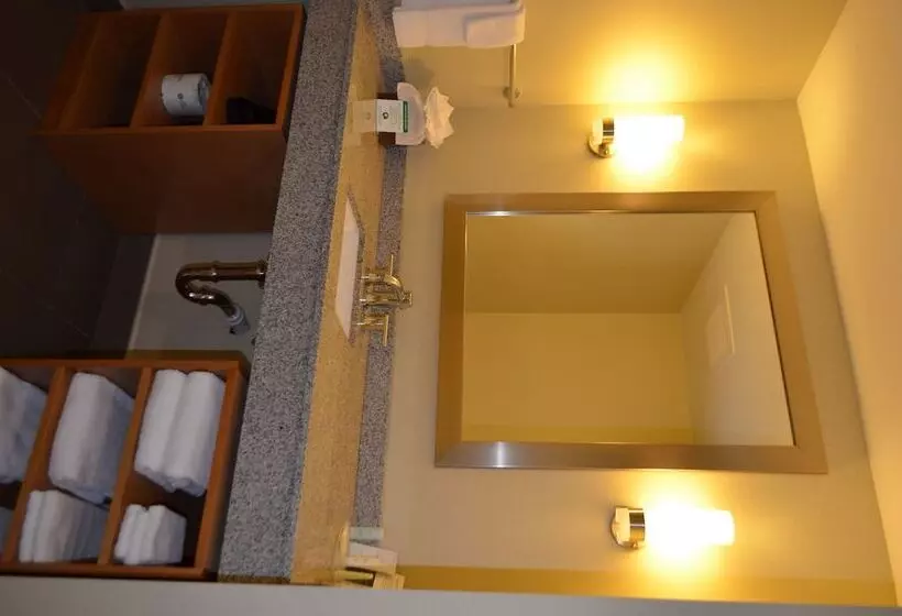スイート, Comfort Suites Bossier City  Shreveport East