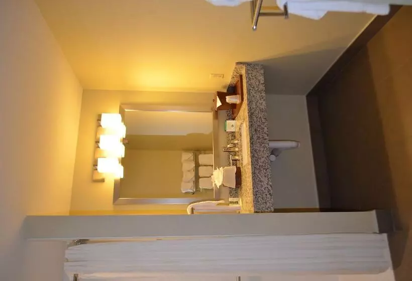 スイート, Comfort Suites Bossier City  Shreveport East