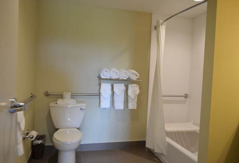 سوییت, Comfort Suites Bossier City  Shreveport East