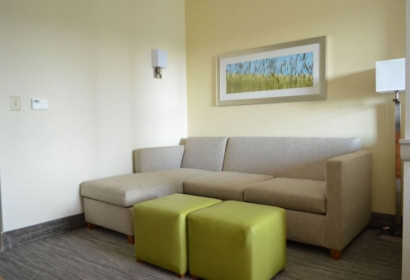 سوییت, Comfort Suites Bossier City  Shreveport East