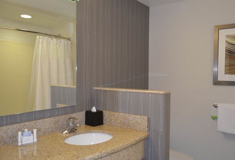 Номер Executive, Courtyard By Marriott Winchester Medical Center
