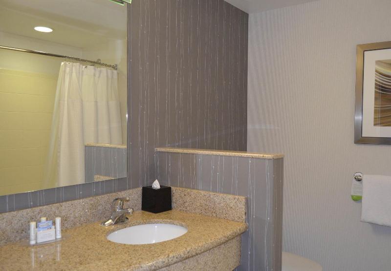 غرفة قياسية سرير كينج, Courtyard By Marriott Winchester Medical Center