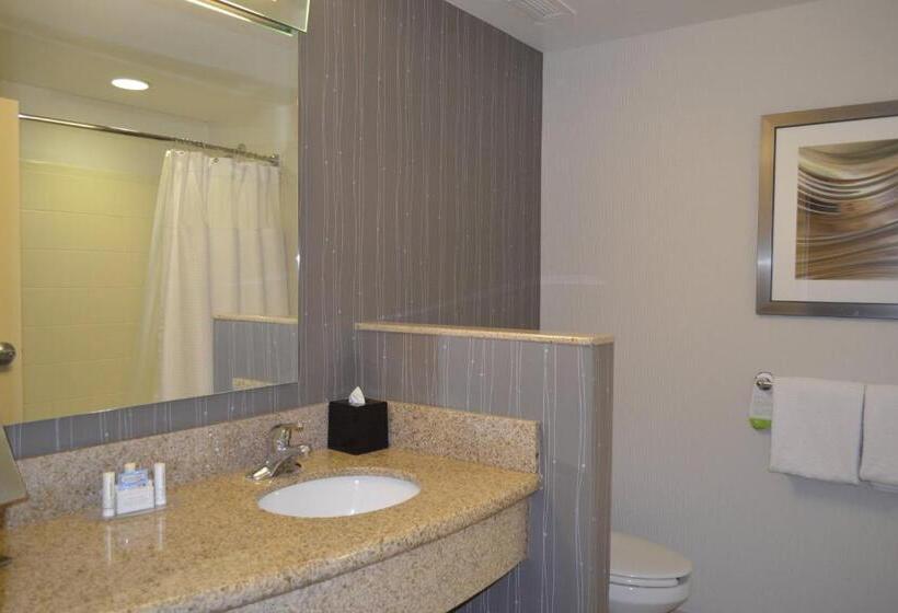 غرفة قياسية سرير كينج, Courtyard By Marriott Winchester Medical Center