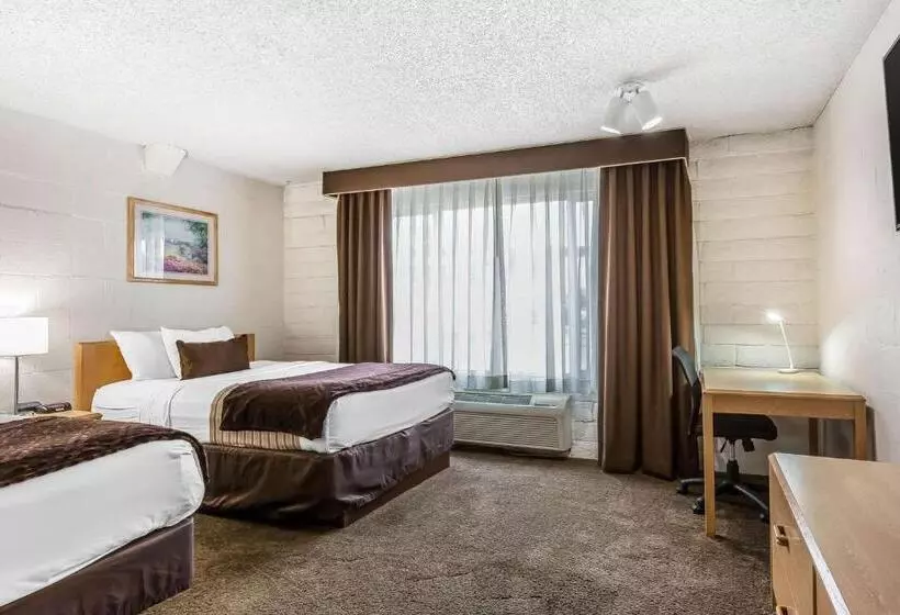 スタンダードルーム, Econo Lodge Lake Elsinore Casino