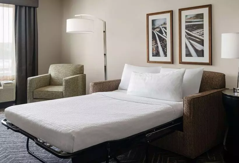 スイート, Homewood Suites Springfield Va