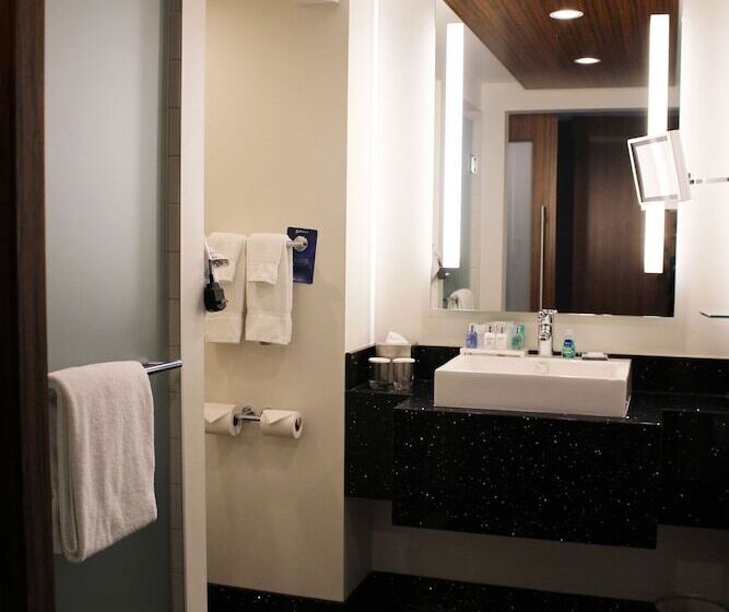 غرفة تنفيذية, Radisson Blu Mall Of America