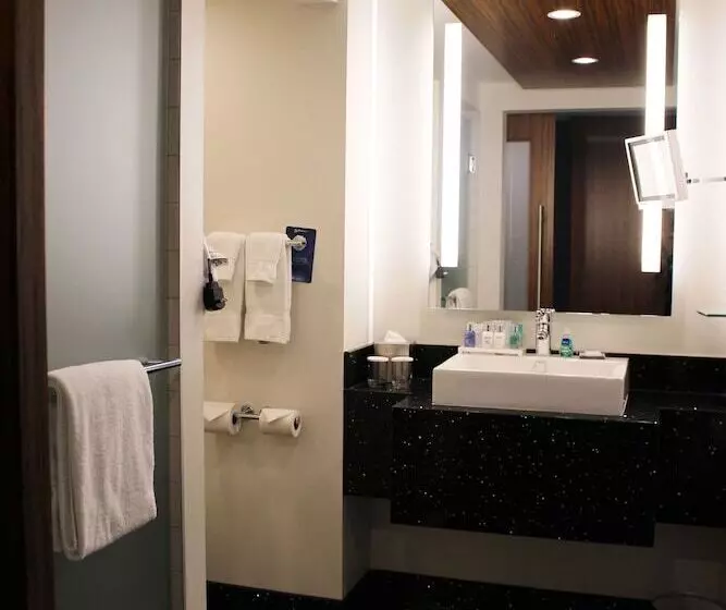 エクゼクティブルーム, Radisson Blu Mall Of America