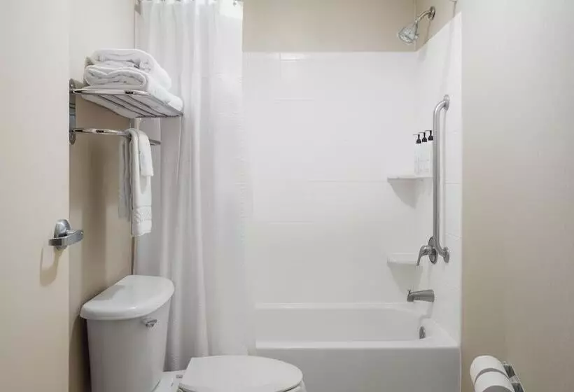 スイート, Springhill Suites Knoxville At Turkey Creek