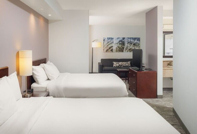 套房, Springhill Suites Knoxville At Turkey Creek