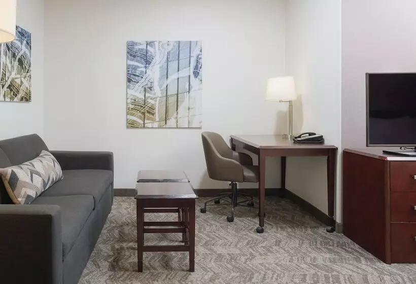 身障者適用スイートルーム, Springhill Suites Knoxville At Turkey Creek