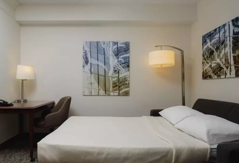 身障者適用スイートルーム, Springhill Suites Knoxville At Turkey Creek