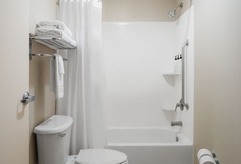 适合残疾人士使用的套间, Springhill Suites Knoxville At Turkey Creek