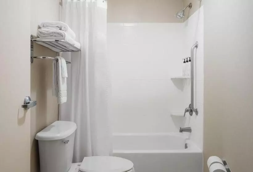 キングサイズベッドのスイートルーム, Springhill Suites Knoxville At Turkey Creek