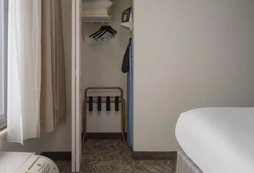 キングサイズベッドのスイートルーム, Springhill Suites Knoxville At Turkey Creek