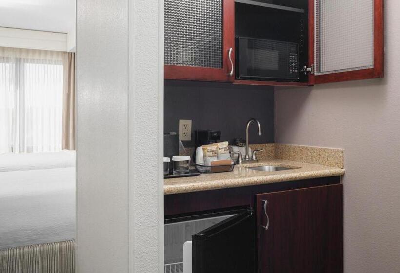 套房, Springhill Suites Knoxville At Turkey Creek