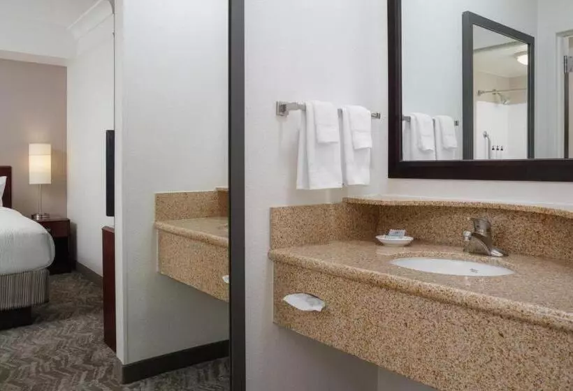 キングサイドベッドのスタンダードワンルーム, Springhill Suites Knoxville At Turkey Creek