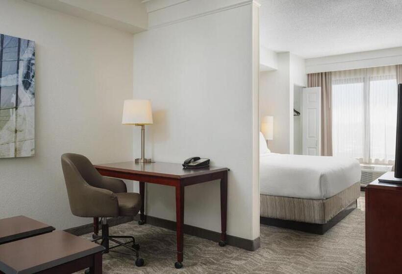 带大床的标准工作室, Springhill Suites Knoxville At Turkey Creek