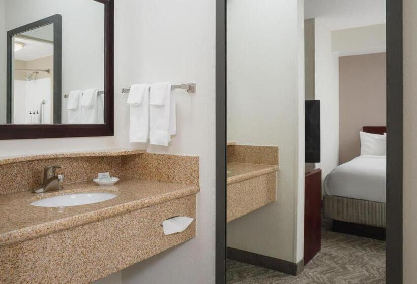 Люкс Адаптированный для Инвалидов, Springhill Suites Knoxville At Turkey Creek