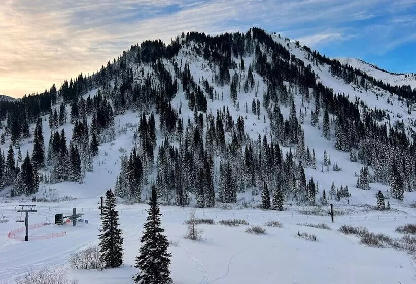 Standard-huone King-vuode, The Snowpine Lodge