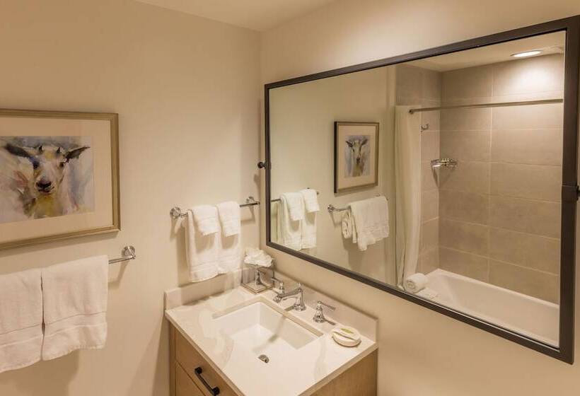 스탠다드 룸 2층 침대, The Snowpine Lodge