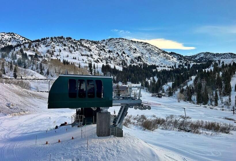 스탠다드 룸 2층 침대, The Snowpine Lodge