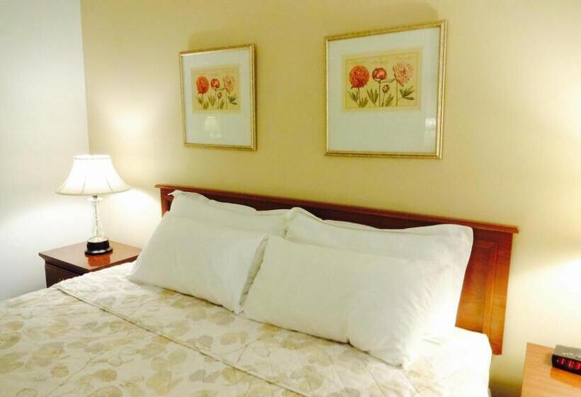 스탠다드 룸 킹사이즈 침대, Gorham Motor Inn