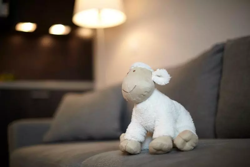 سوییت سوپریور, Seven Urban Suites Nantes Centre