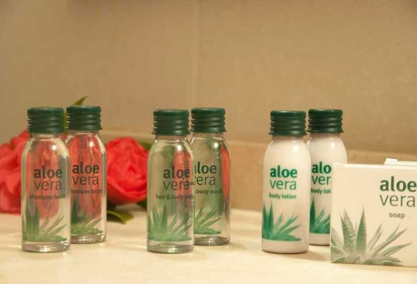 חדר סטנדרט, El Salugral Termal Resort