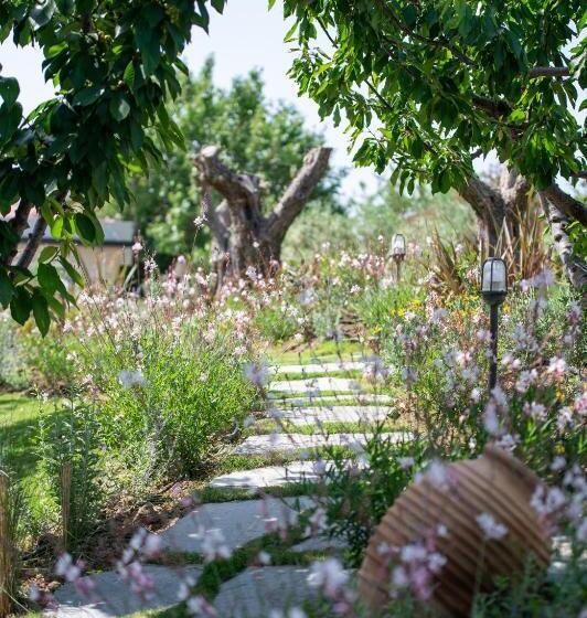 סוויטת 2 חדרי שינה, Antigoni Seaside Resort