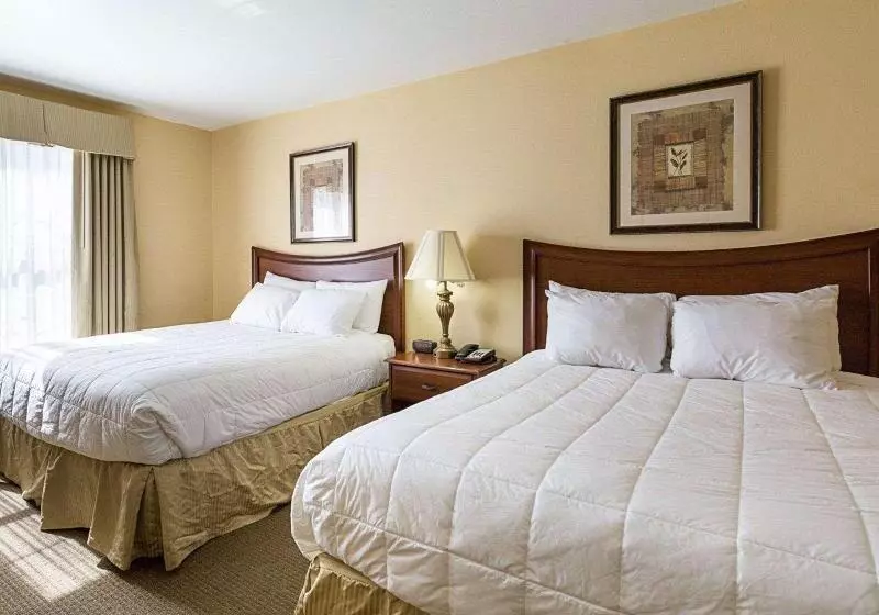 スタンダードルーム, Mainstay Suites Port Arthur  Beaumont South