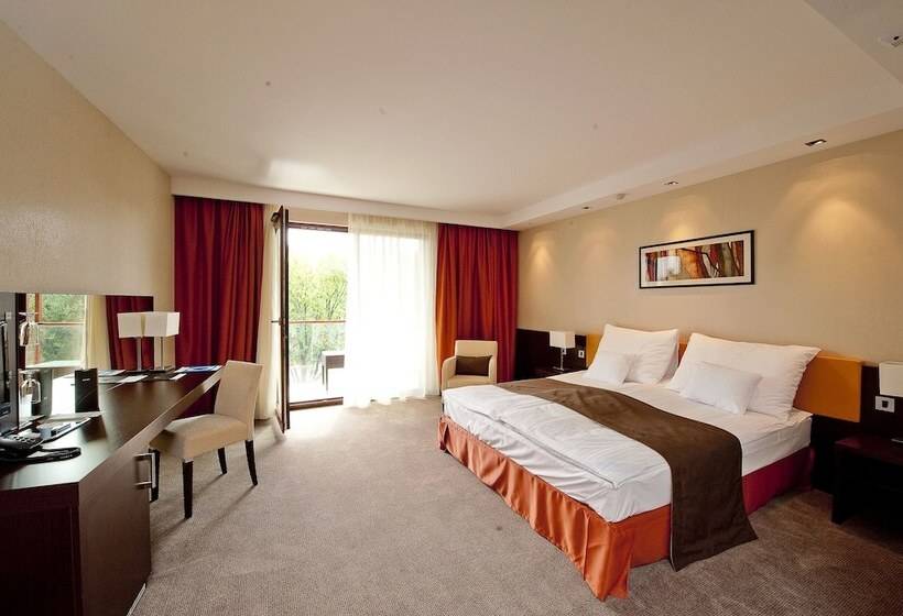 חדר סטנדרט, Abacus Business & Wellness