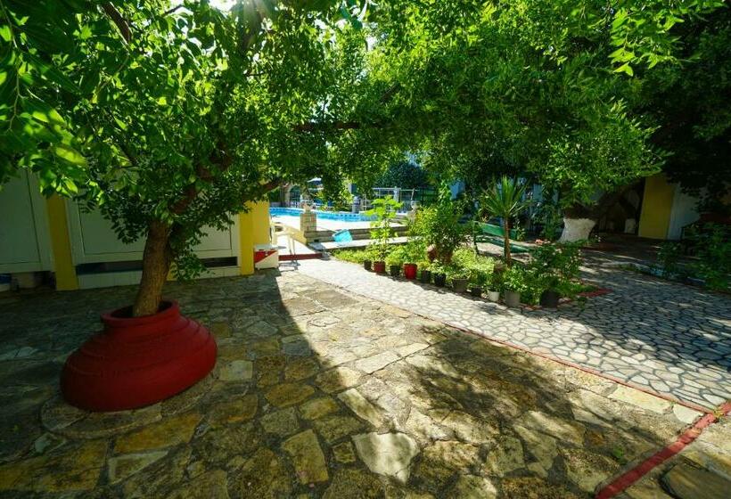 إستوديو قياسى, Albatross