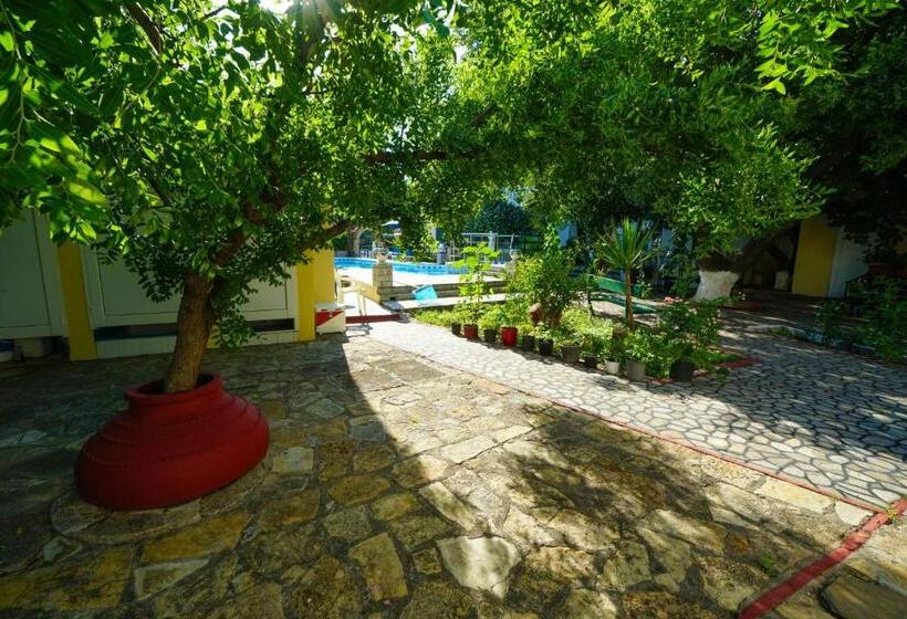 غرفة قياسية مطلّة علي الحديقة, Albatross