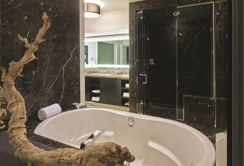 펜트하우스 스위트, W Las Vegas