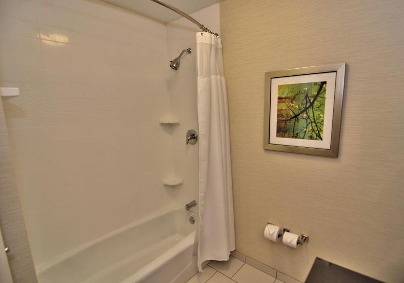 キングサイズベッドのスタンダードルーム, Fairfield Inn & Suites By Marriott Towanda Wysox