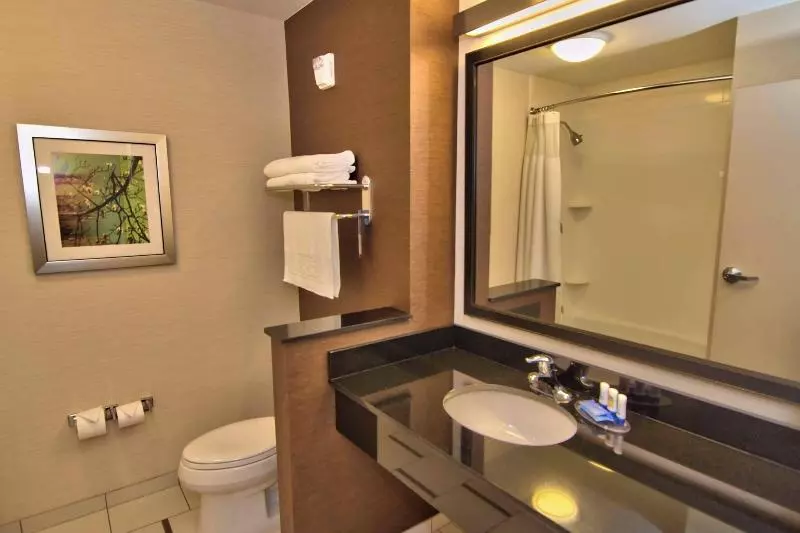 キングサイズベッドのスタンダードルーム, Fairfield Inn & Suites By Marriott Towanda Wysox