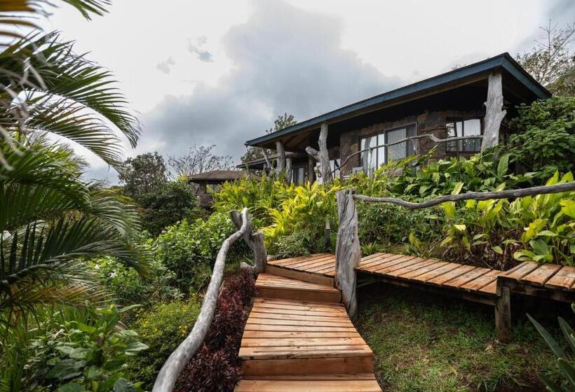 キングサイズベッドのデラックスルーム, Hare Uta