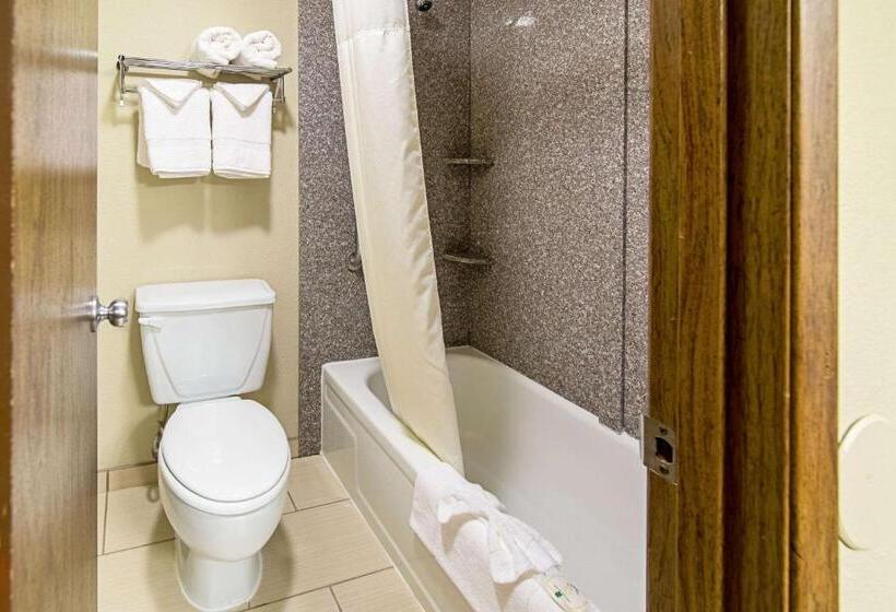 スタンダードルーム, Roosevelt Hotel   Undergoing Improvements