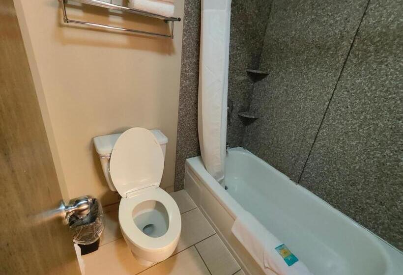 身障者適用スタンダードルーム, Roosevelt Hotel   Undergoing Improvements