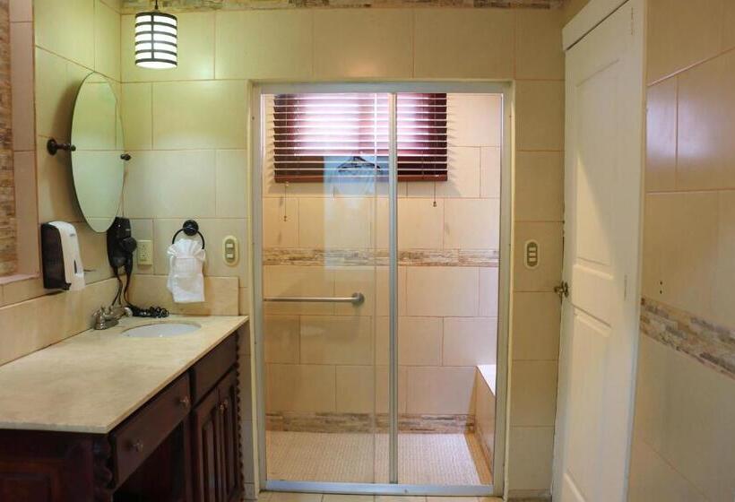 غرفة قياسية رباعية, Victoriano