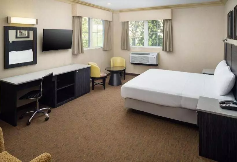 Deluxe-huone King-vuode, Skyview Motel