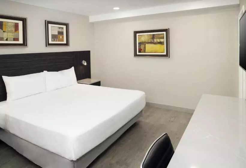 Standard-huone King-vuode, Skyview Motel