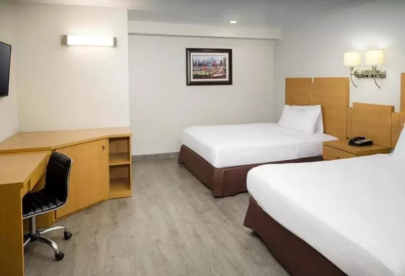 Deluxe-huone, Skyview Motel
