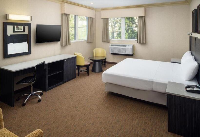 Deluxe Suite, Skyview Motel