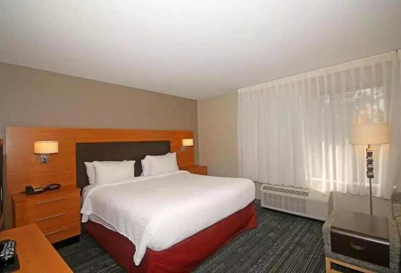 キングサイズベッドのスイートルーム, Towneplace Suites By Marriott Aiken Whiskey Road