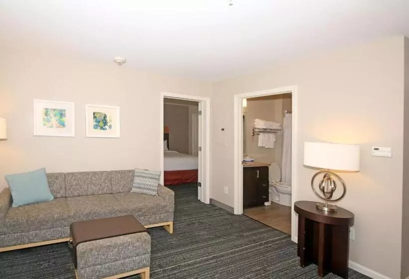 キングサイズベッドのスイートルーム, Towneplace Suites By Marriott Aiken Whiskey Road