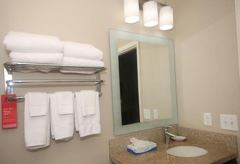 Люкс, Towneplace Suites By Marriott Aiken Whiskey Road