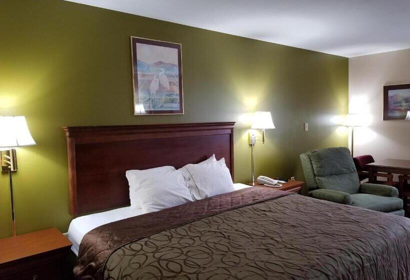 带大床的标准间, Briarwood Inn